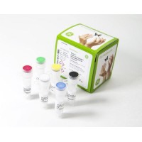 illustra Single Cell GenomiPhi DNA Amplification Kit 